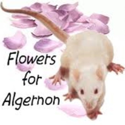 Timeline: Flowers For Algernon