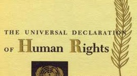 Timeline: Human Rights