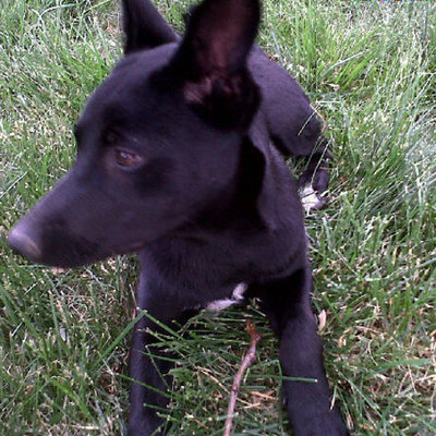 Timeline: History of Kayanite So Far