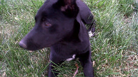 Timeline: History of Kayanite So Far