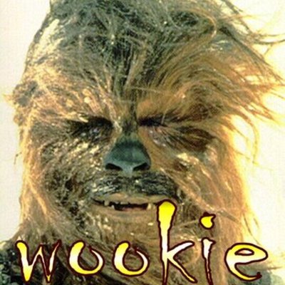 Timeline: My reading term 1 2012