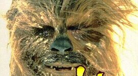 Timeline: Reading term 2 2013