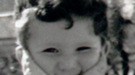 Timeline: Palux Progress