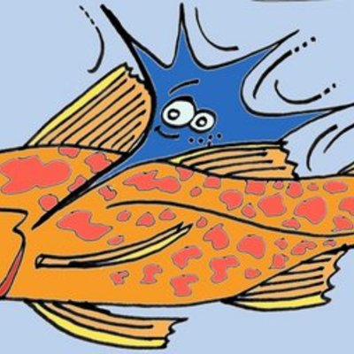 Timeline: Calendari curs 2009-2010