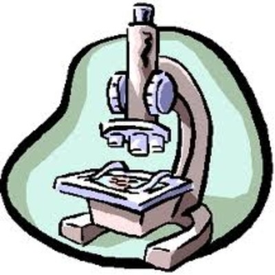Timeline: microscopes
