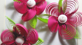 Timeline: Through the Years