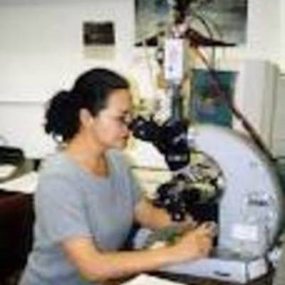 Timeline: Una vida para aprender