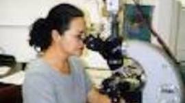 Timeline: Una vida para aprender