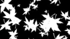 Timeline: Historical Energy Events