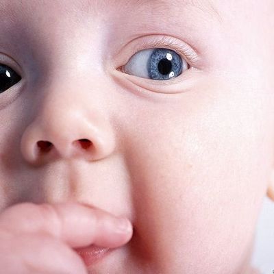 Timeline: Abortion History