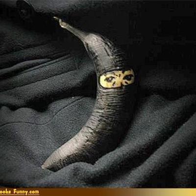 Timeline: The Life of Daniel Robinson