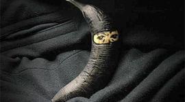 Timeline: The Life of Daniel Robinson