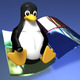 Ce impact va avea windows vista asupra linux 2