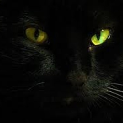 Timeline: Born on August 18, 1998