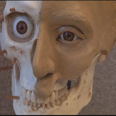 Timeline: LSU FACES Lab Timeline