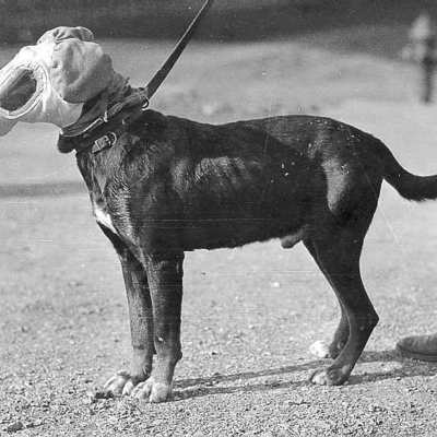 Timeline: THE GREAT WAR: time line.