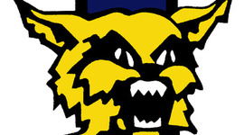 Timeline: Family Tree Timeline