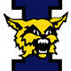 New wildcat logo normal