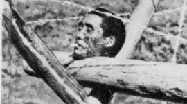 Timeline: Nanjing Massacre