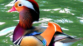 Timeline: Jareds and Sebastians Social Timeline