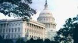 Timeline: Raven Wilson123