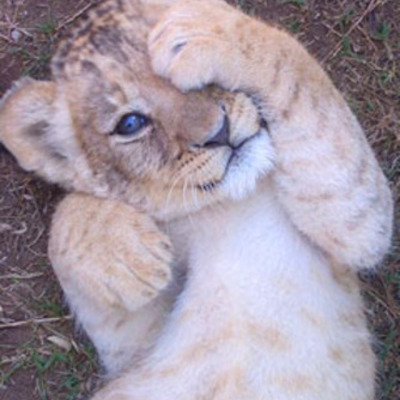 Timeline: Hannah Brown's life