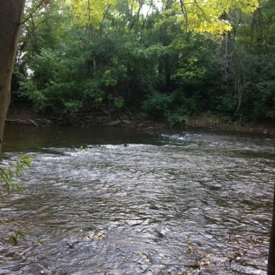 Timeline: Red Cedar Rver