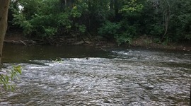 Timeline: Red Cedar Rver