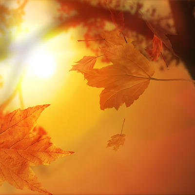 Timeline: Haridustehnoloogia