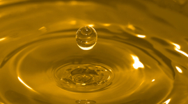 Timeline: Cooking Oil Factory