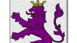 Timeline: Creciendo y aprendiendo