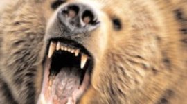 Timeline: lamar underwood