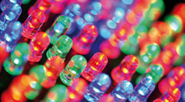 Timeline: Projekt Ny webb