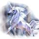 Unicorns