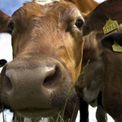 Timeline: lanfbrugets udvikling 1780-1914