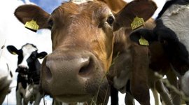 Timeline: lanfbrugets udvikling 1780-1914