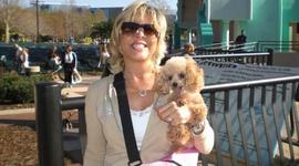 Timeline: Debbie's Journey