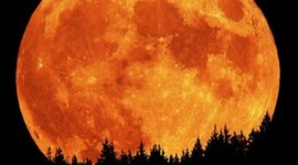 Timeline: Full Moons Throughout the Year