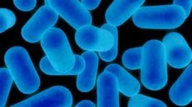 Timeline: Cell Biology Timeline