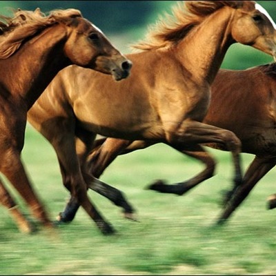 Timeline: My Life!!!