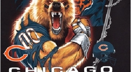 Timeline: Da Bears version 2011