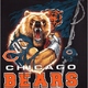 Chicago bears mad ubprez