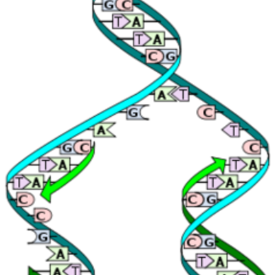 Timeline: DNA Scientist Timeline