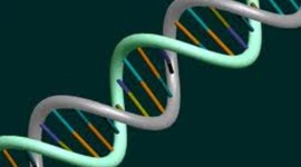 Timeline: Important People in the History of DNA