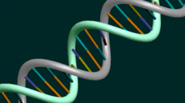 Timeline: Discovery of DNA