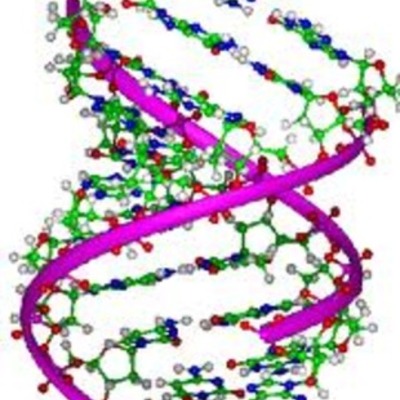 Timeline: Scientists and Their Contributions Towards DNA