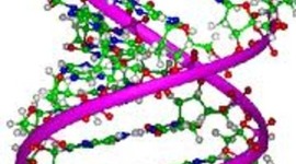 Timeline: Scientists and Their Contributions Towards DNA