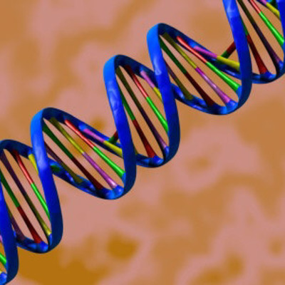 Timeline: DNA's History