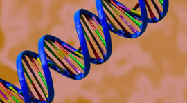 Timeline: DNA's History