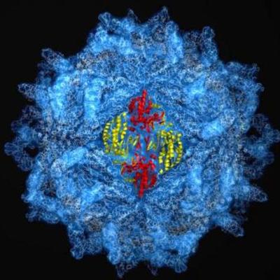 Timeline: Atomic Timeline: Tristan Cisco